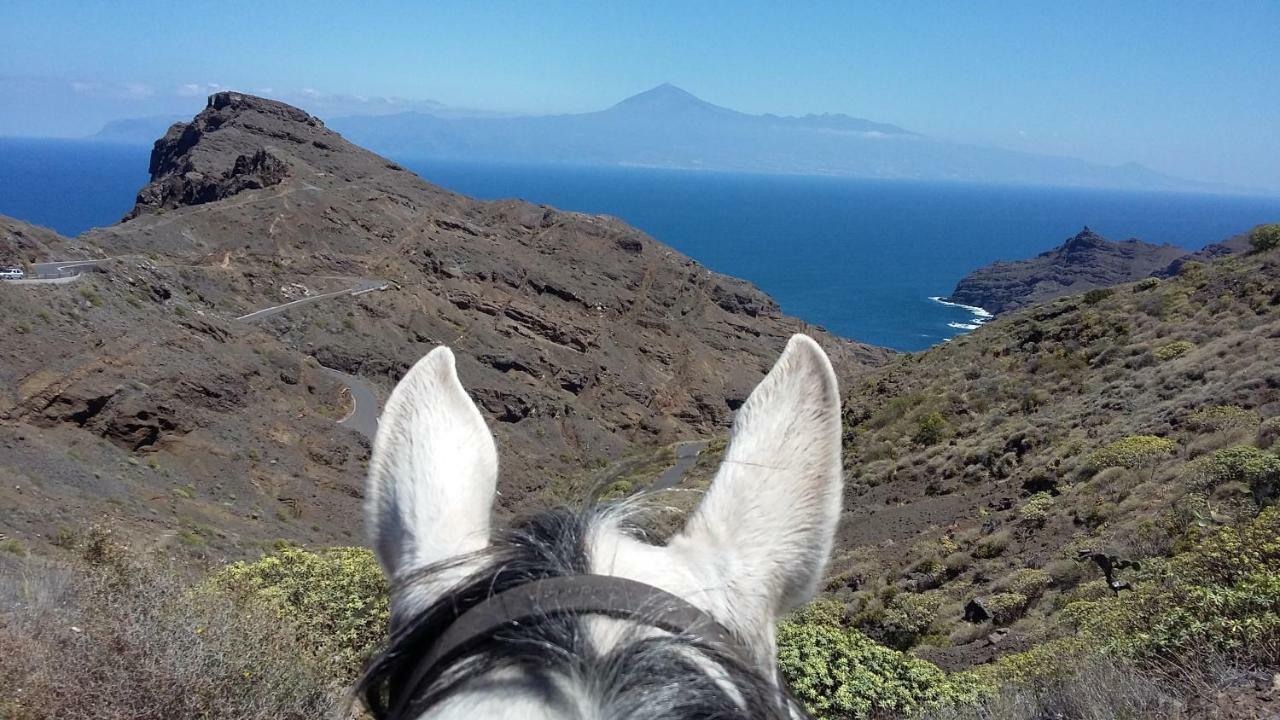 Apartamento Nek San Sebastián de la Gomera Екстериор снимка
